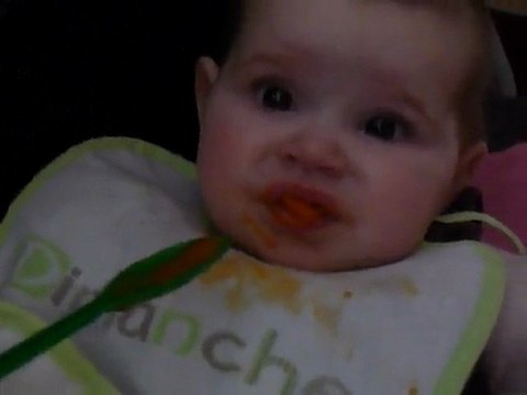 Premier petit pot Carottes...