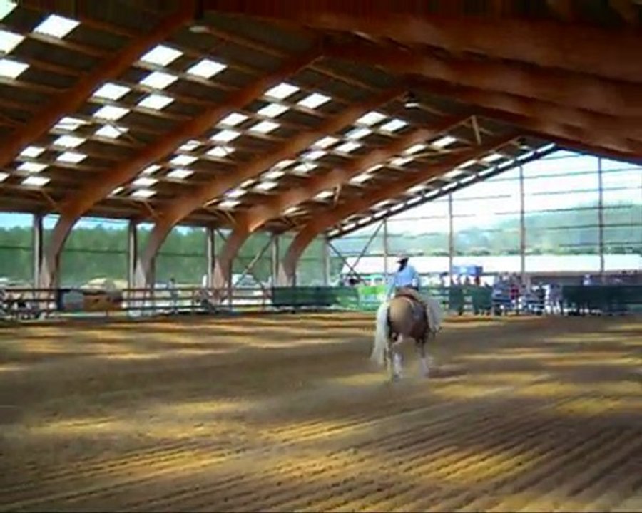 Démonstration de reining