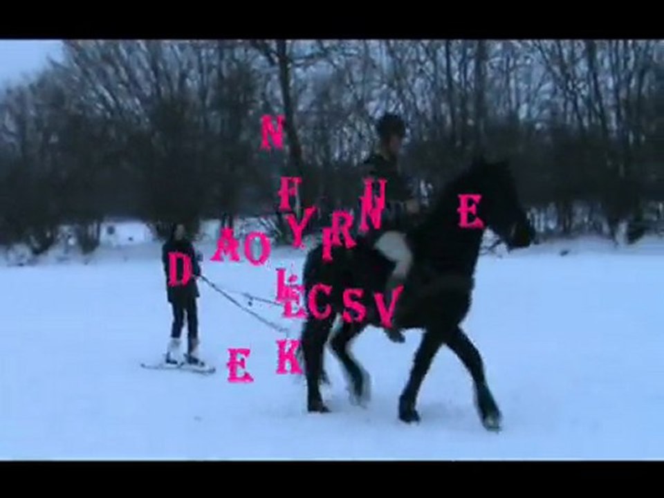 Ski joering