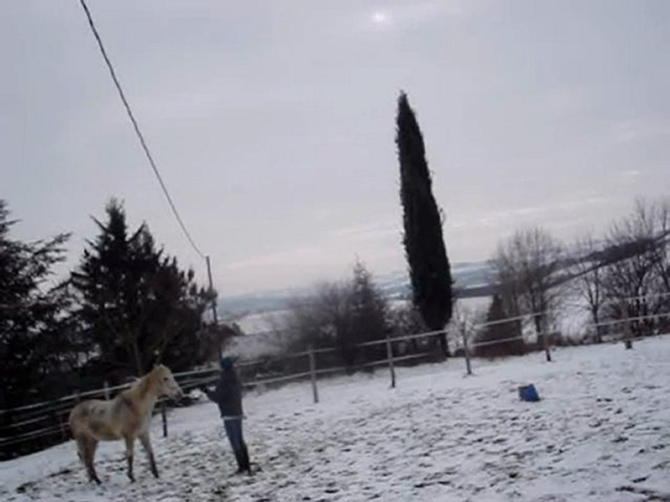 Inès début liberté