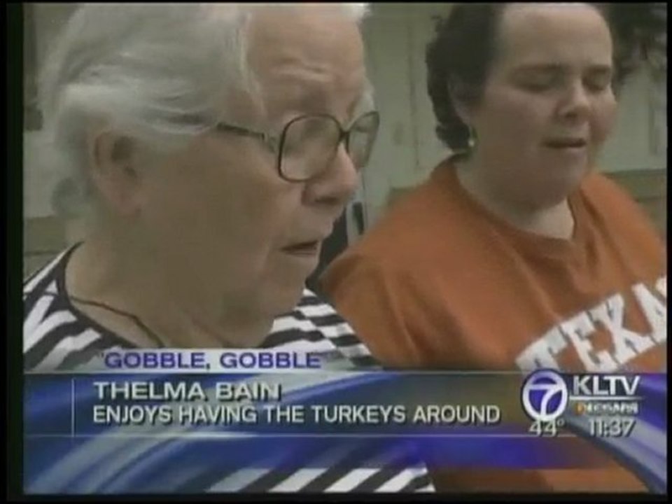 Philippe Djegal Reporter Demo 2010