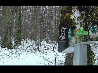 Quand l'Aube revêt son blanc manteau !