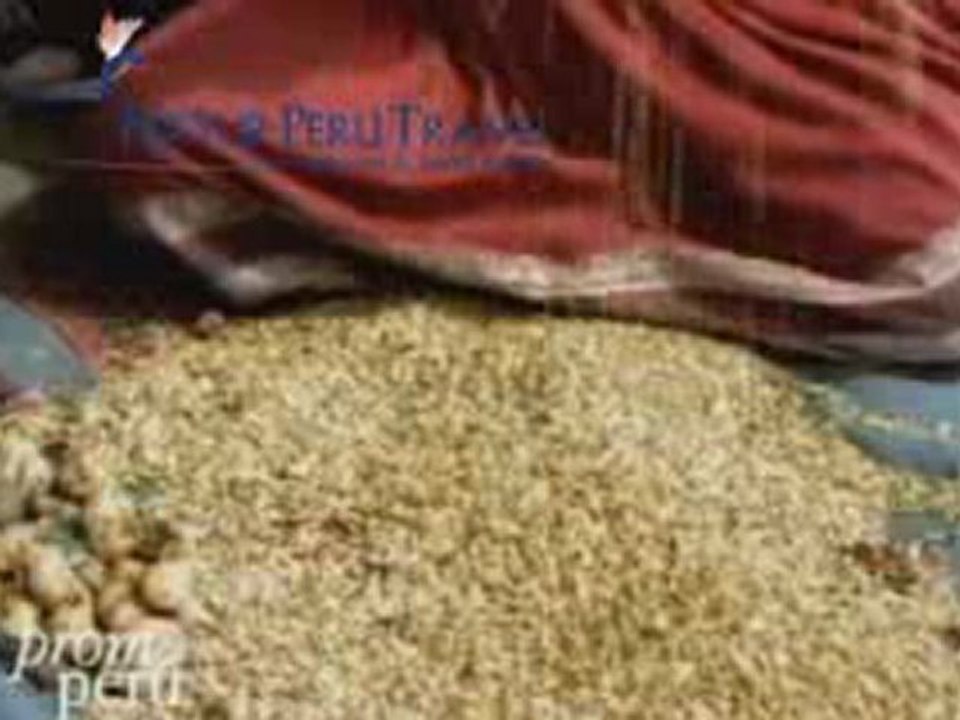 Arequipa Travel Packages - Arequipa The White City