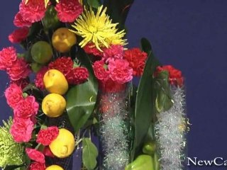 NewCa.com: Aurora Borealis