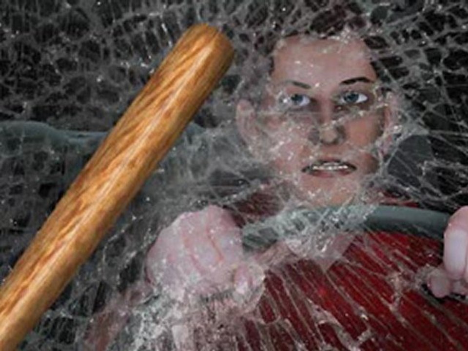 Saint louis windshield