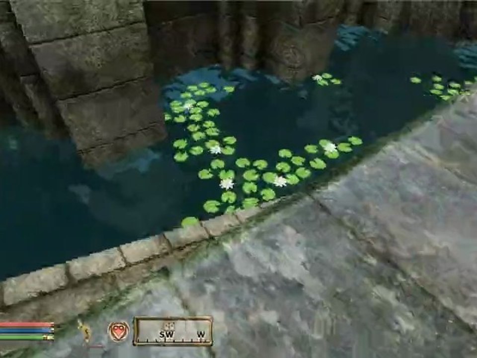 Oblivion HD - PC - Confrérie noire - 03