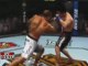 UFC 2009 Undisputed Game-Play (THQ)