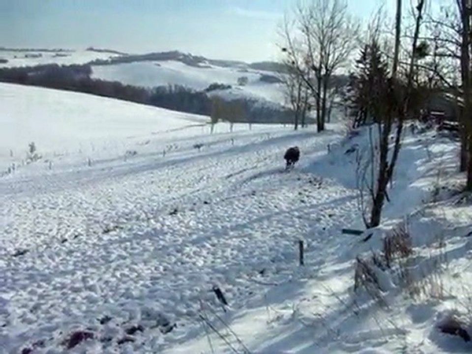 Nanouch on the snow