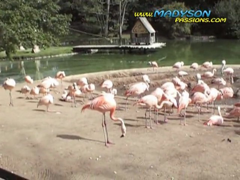 Zoo La Palmyre