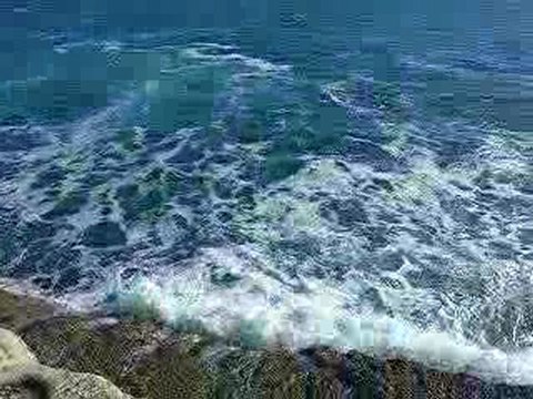 VID ok gd vue cassis et nad