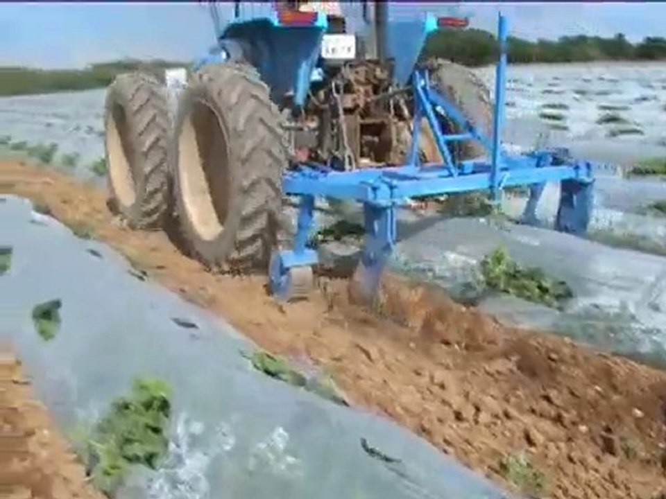 Déchausseuse plastique protection culture de melons