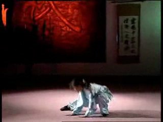 Chin Woo - Jie Quan 节拳
