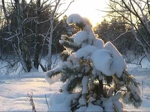 Зимний вечер. Winter Evening