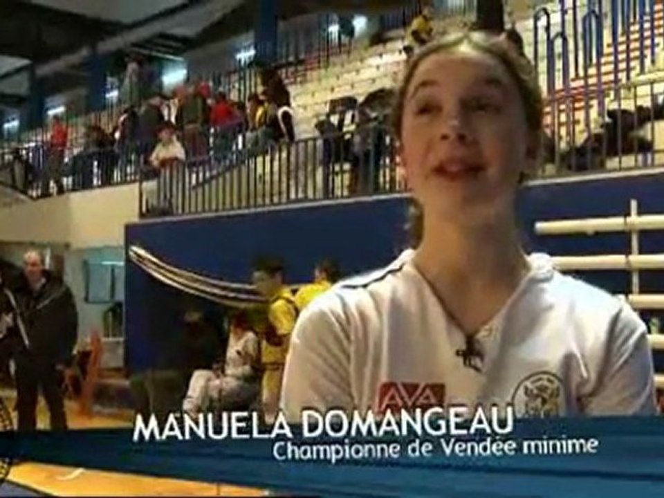 Championnats de Vendée de Tir à L'Arc (Fontenay-le-Comte)