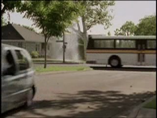 Extreme dog training - funny commercial