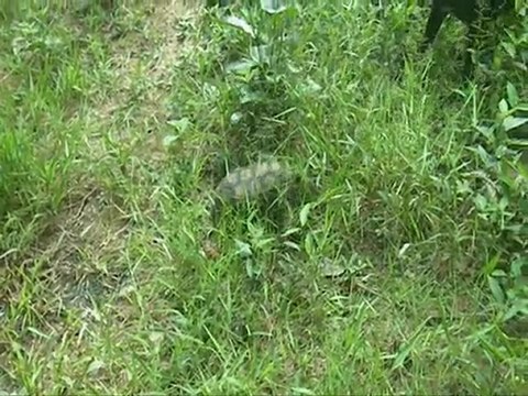 Dernière soirée de 2009 et 1ere journée de 2010