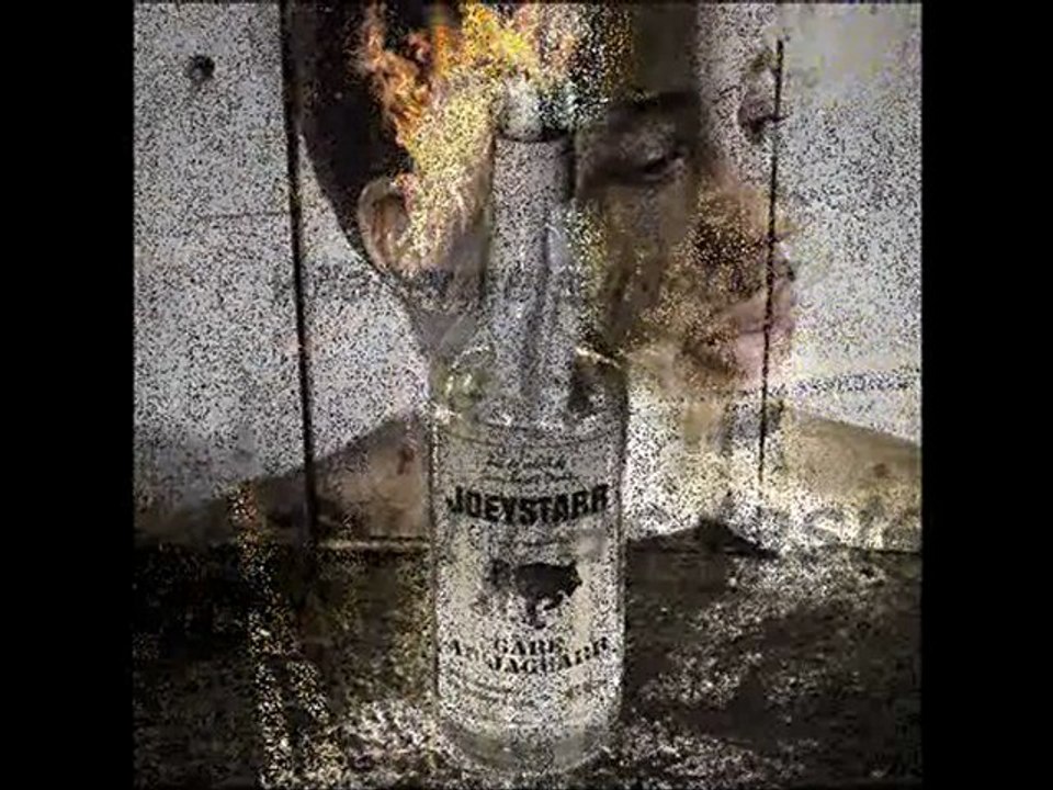 villeneuve sur lot 47