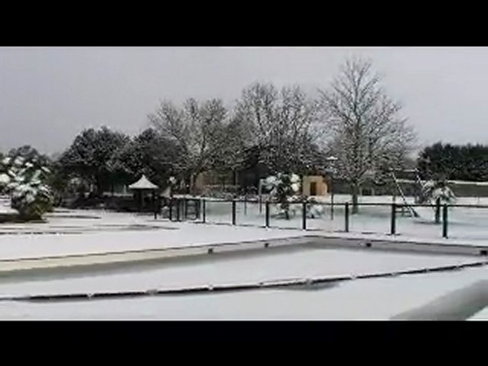 Galinée sous la neige
