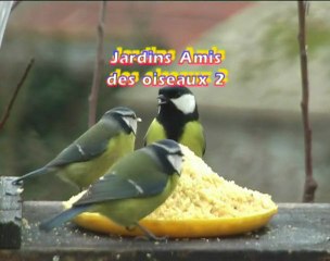 Jardins amis des oiseaux 2