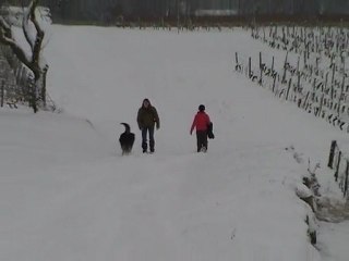 Ballade dans les vignes enneigées
