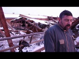 Drame de la neige : 4 vaches tuées
