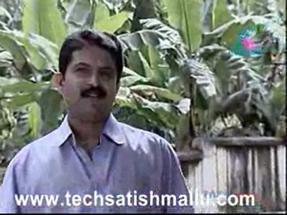 Sellai Jan 12