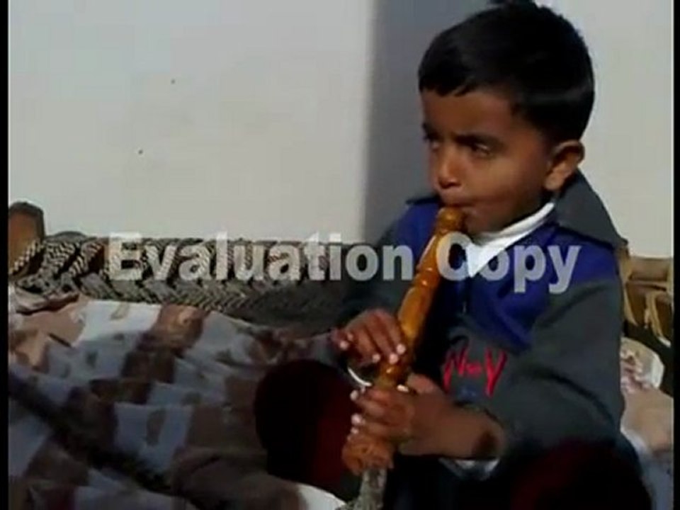 WTF Lil Kid Smoking It Up & The Boy Was Up There!