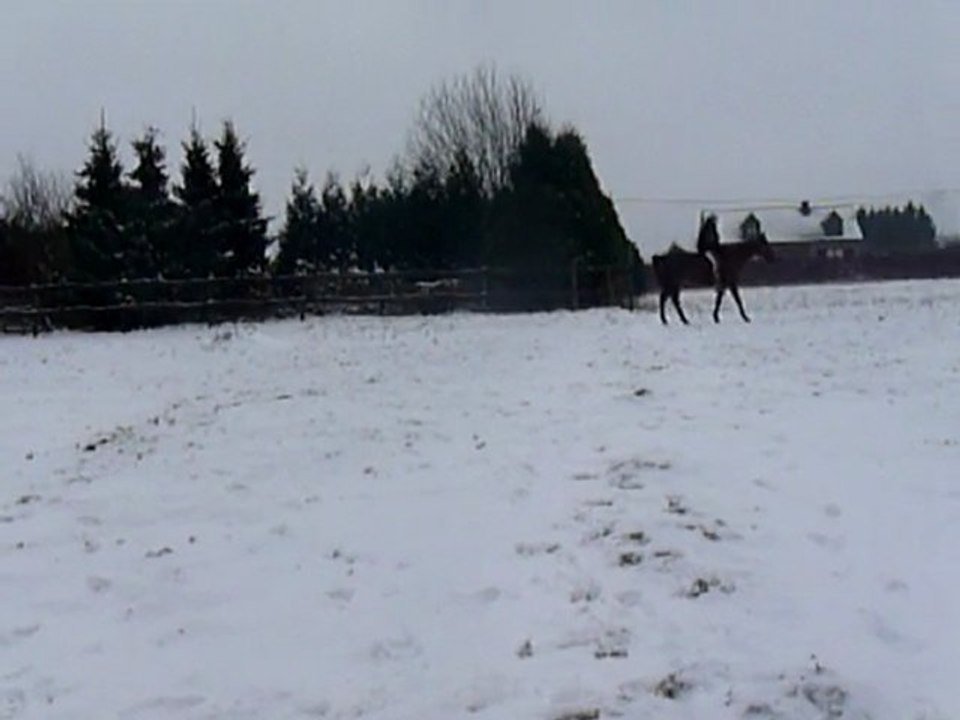 Neige ~ Jawad <3.