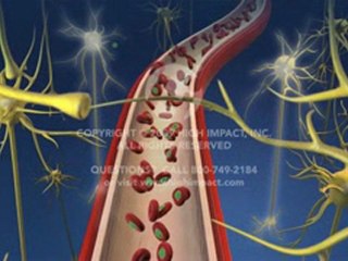 Normal Maternal-Fetal Physiology and Circulation