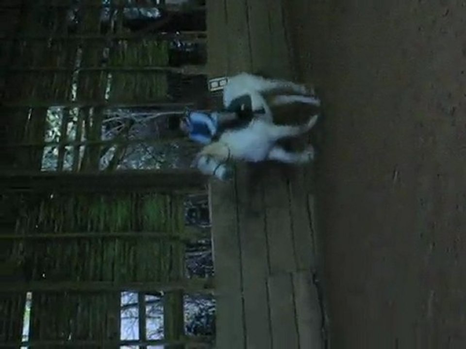 marie et écrin au galop