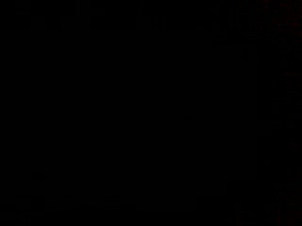 Corrado Vr6 (son + flame)