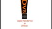DVS Web logo A
