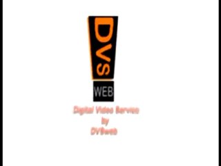 DVS Web logo A