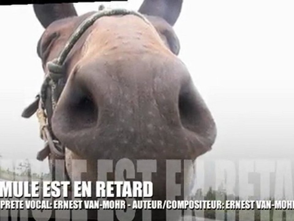 LA MULE EST EN RETARD - AUTEUR/COMPOSITEUR ERNEST VAN-MOHR