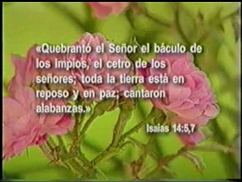 PROFECIA DE DANIEL 5_6