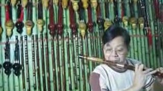 Chinese lute in China