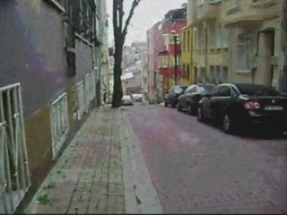 Ernesto Cortazar Autmn Rose