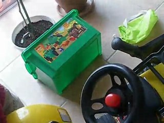 Arthur et Swan s'amusent