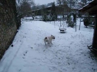 Emy dans la neige