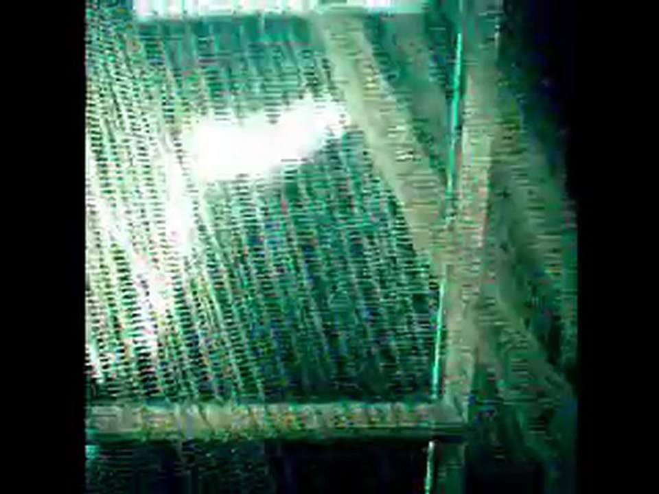 Signes.wmv