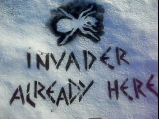 Run With The Wolves-Invaders Treatment