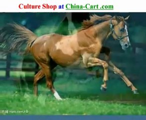 Chinese horse in China