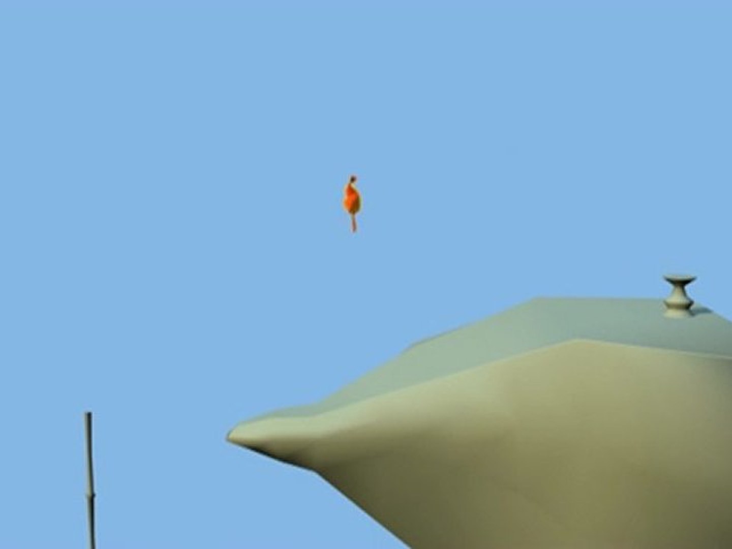 animation sac