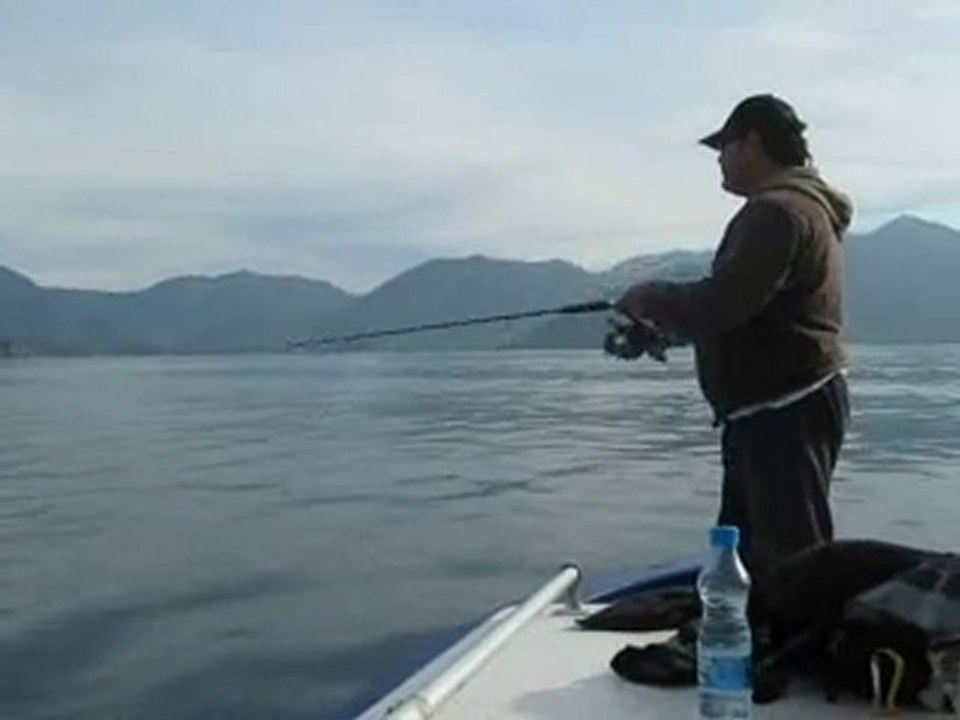 jigging şan yücetürün no2