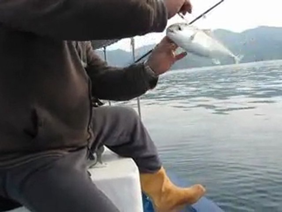 jigging şan yücetürün no4 küçük akya denize geri dönüyor