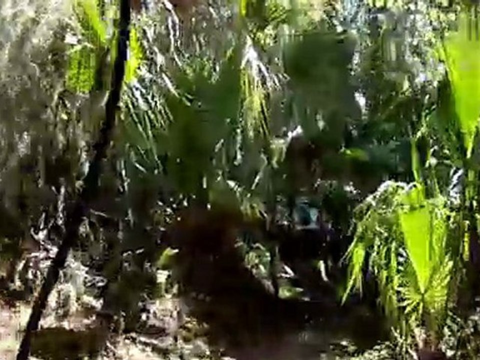 Spider Berm Trails @ Balm Boyette Scrub Preserve