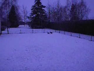 Toujours de la neige