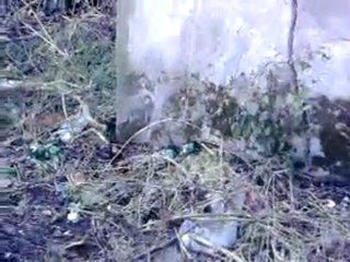 M4A1 vs 3 bouteille de verre