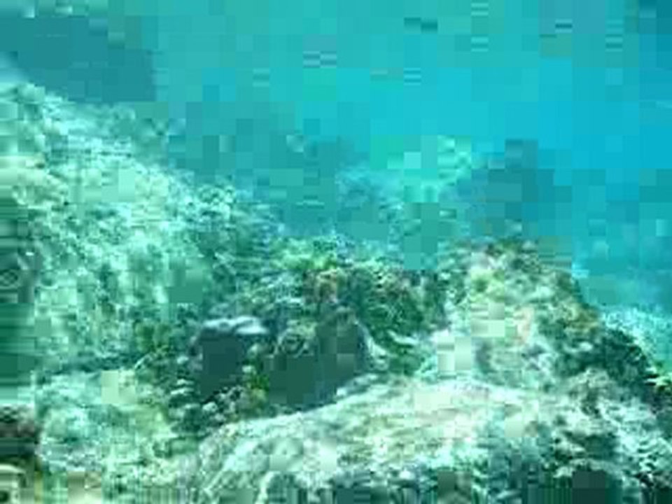 DSCF1800