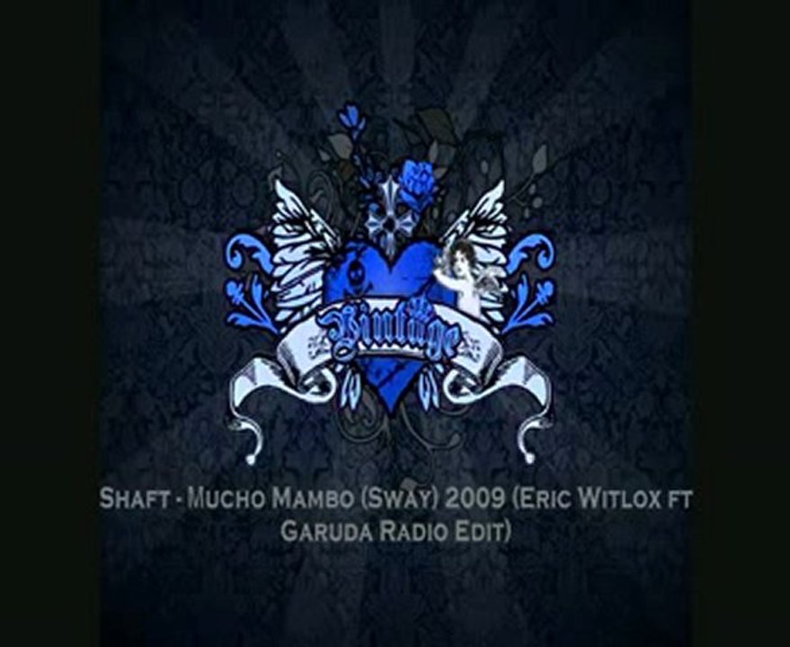 New House Music Mix juillet  2009